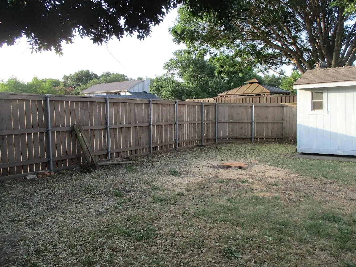 Cleared yard after professional tree removal in Thomaston